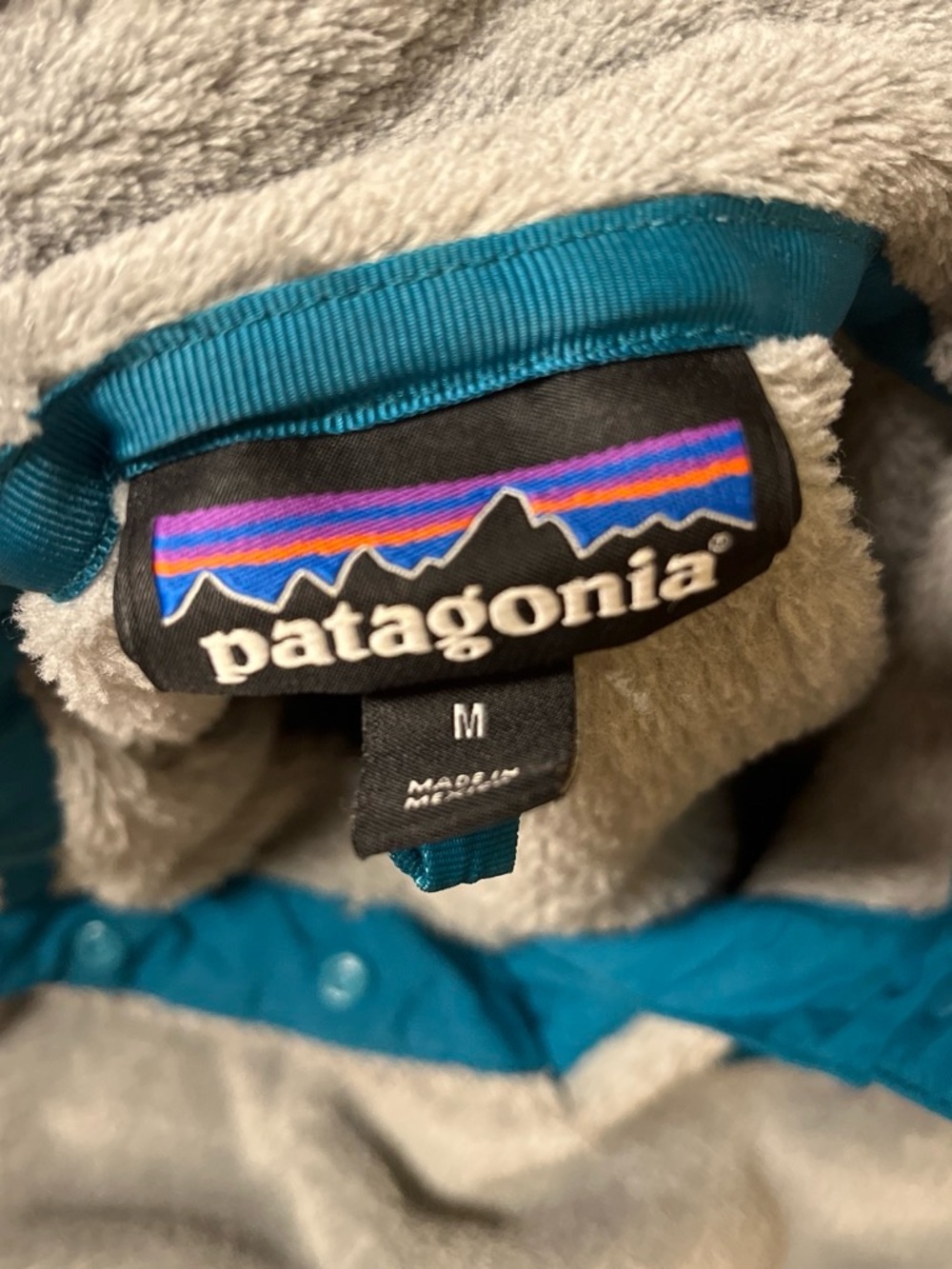 Patagonia Teal and Light Gray Fleece Jacket